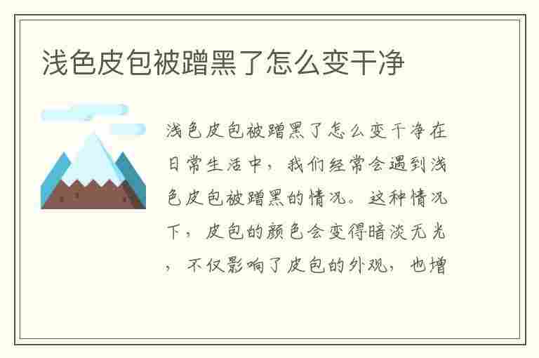 浅色皮包被蹭黑了怎么变干净